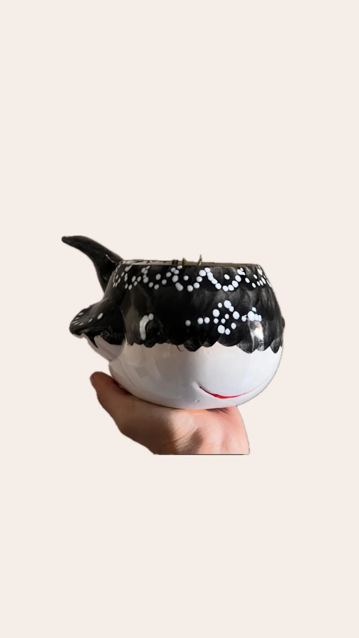 BALLENA NEGRA