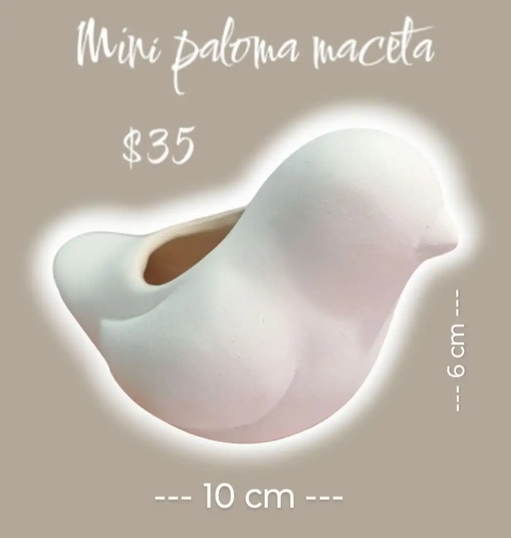 Mini paloma de maceta 