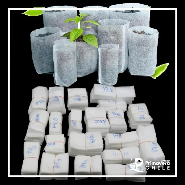 Pack 50 Bolsas Biodegradables no tejidas