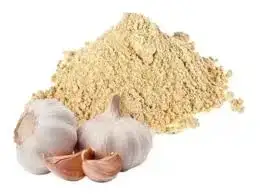 ALHO EM PO 100GR 