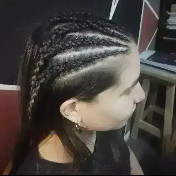 Ocho trenzas, dos cruzadas 2