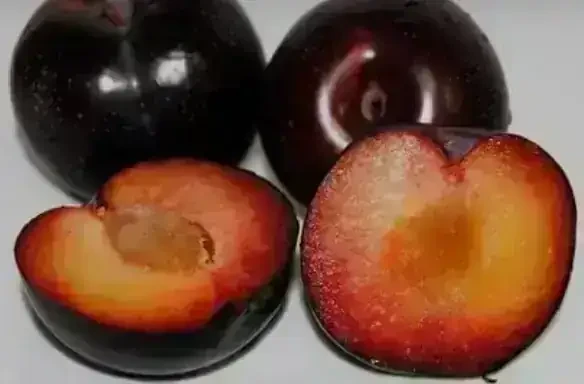 Ciruela Roja