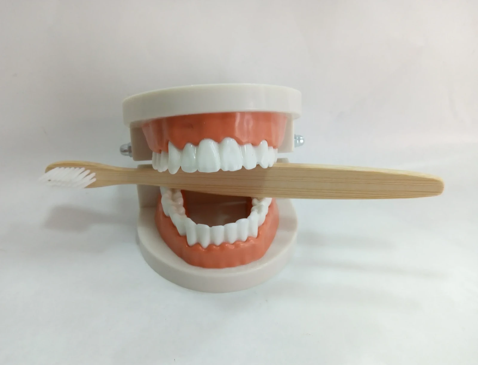 MODELO P/DEMOSTRACIÓN DE CEPILLADO