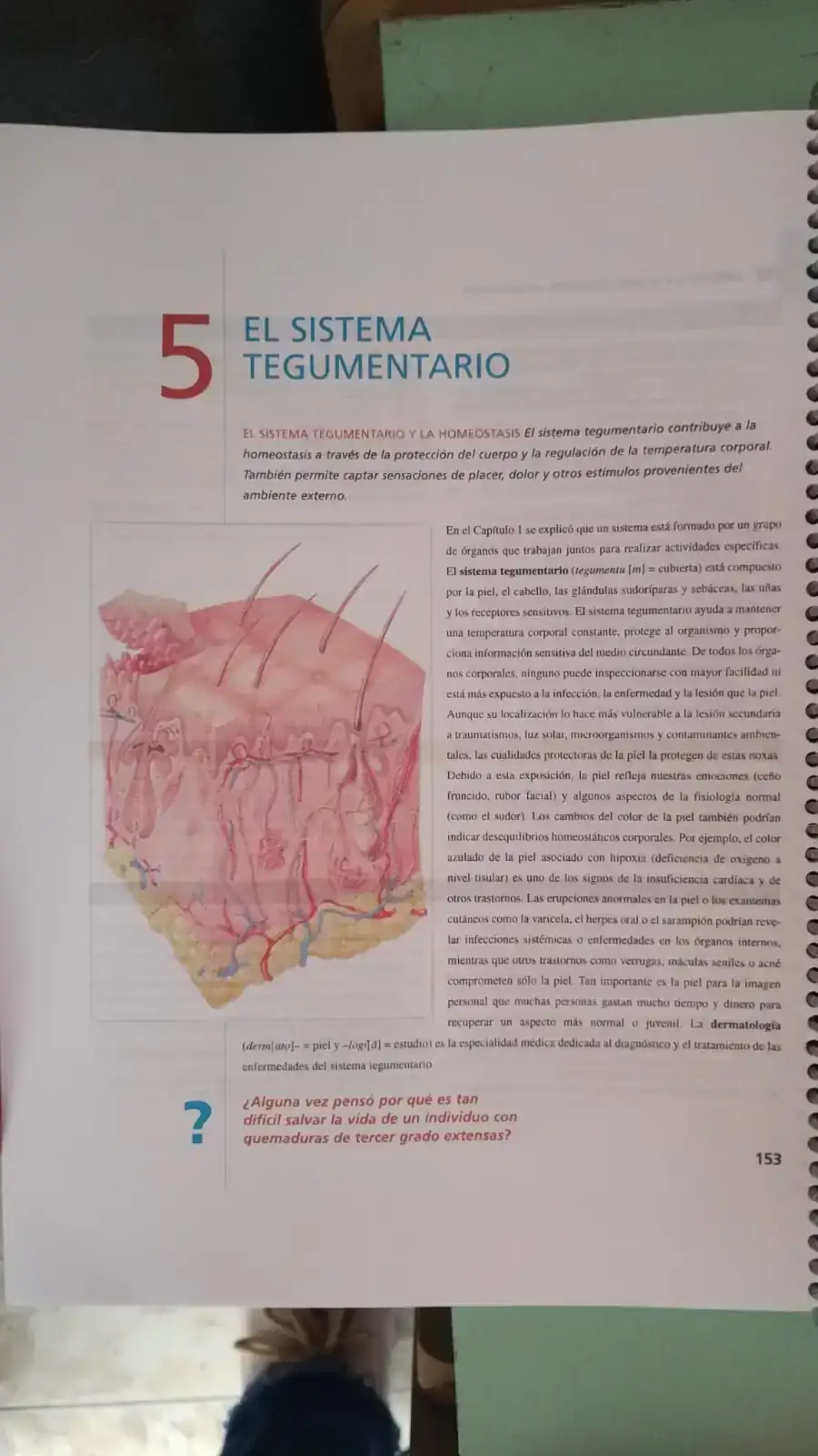 Anatomía y Fisiología Tortora • Derrickson 2