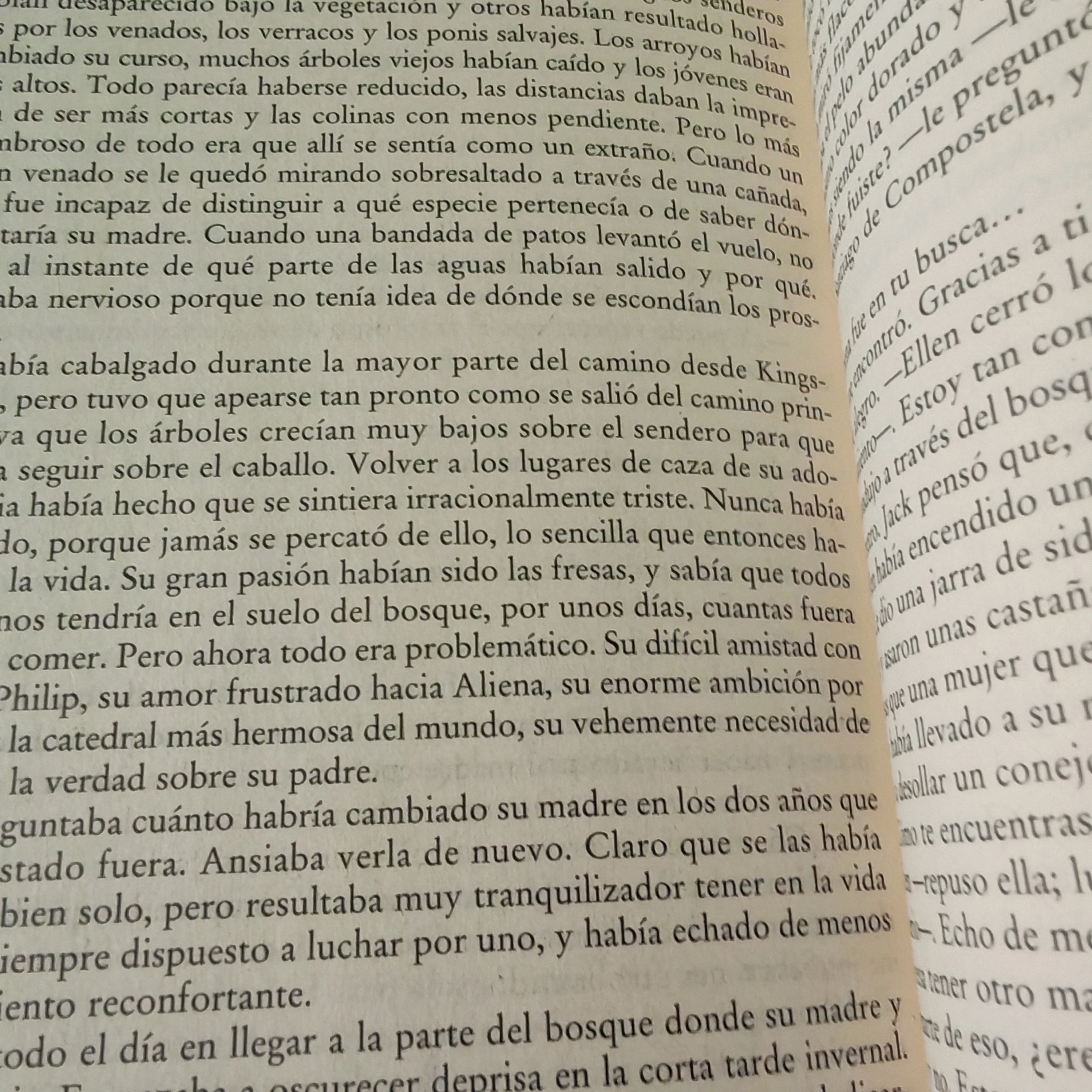 Los pilares de la tierra, Ken Follet, nuevo 3