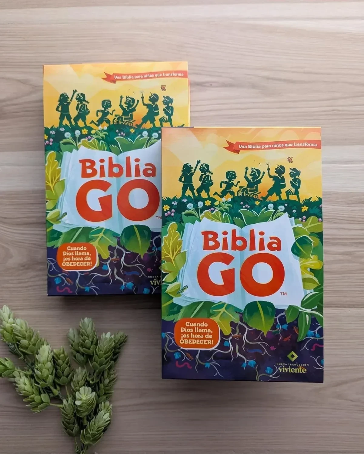 Biblia GO para ninos NTV pasta dura