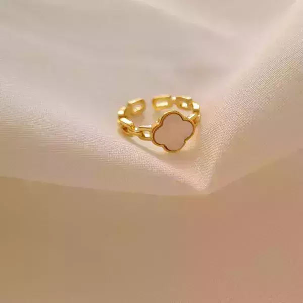 Anillo 019