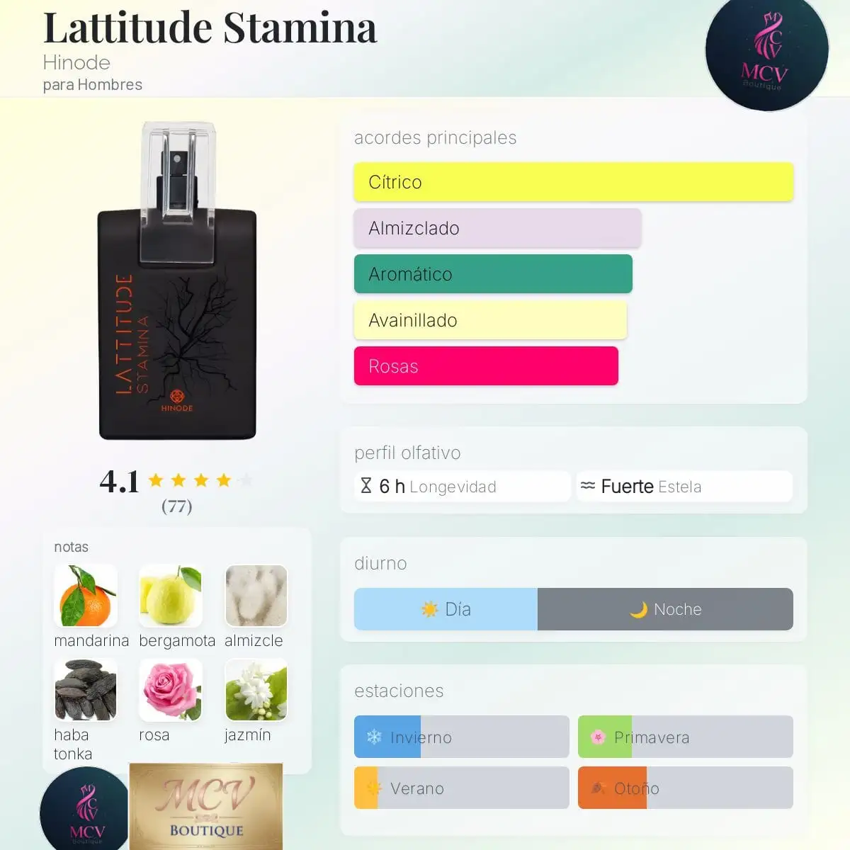 Lattitude Stamina