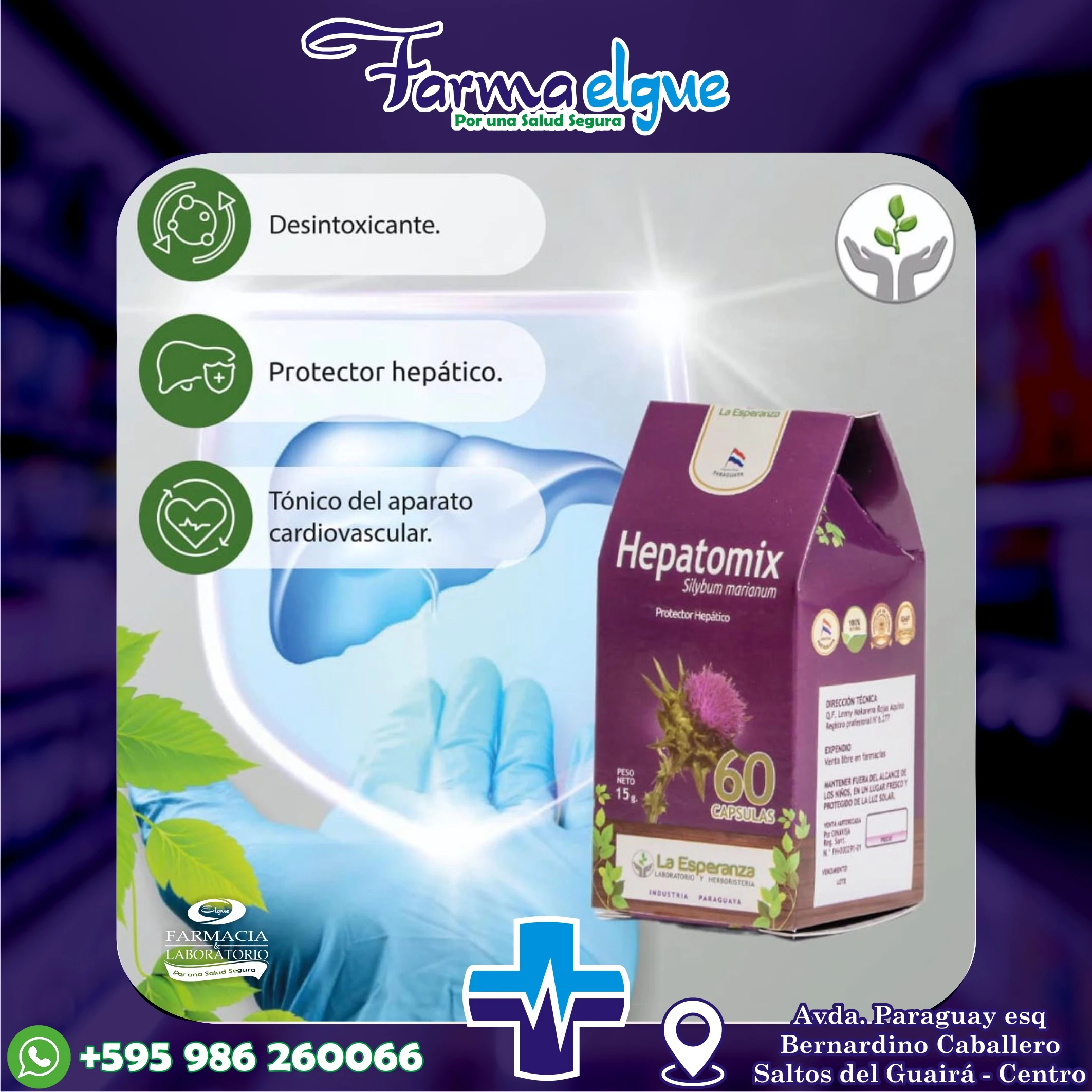HEPATOMIX X 60 CAPS - LA ESPERANZA