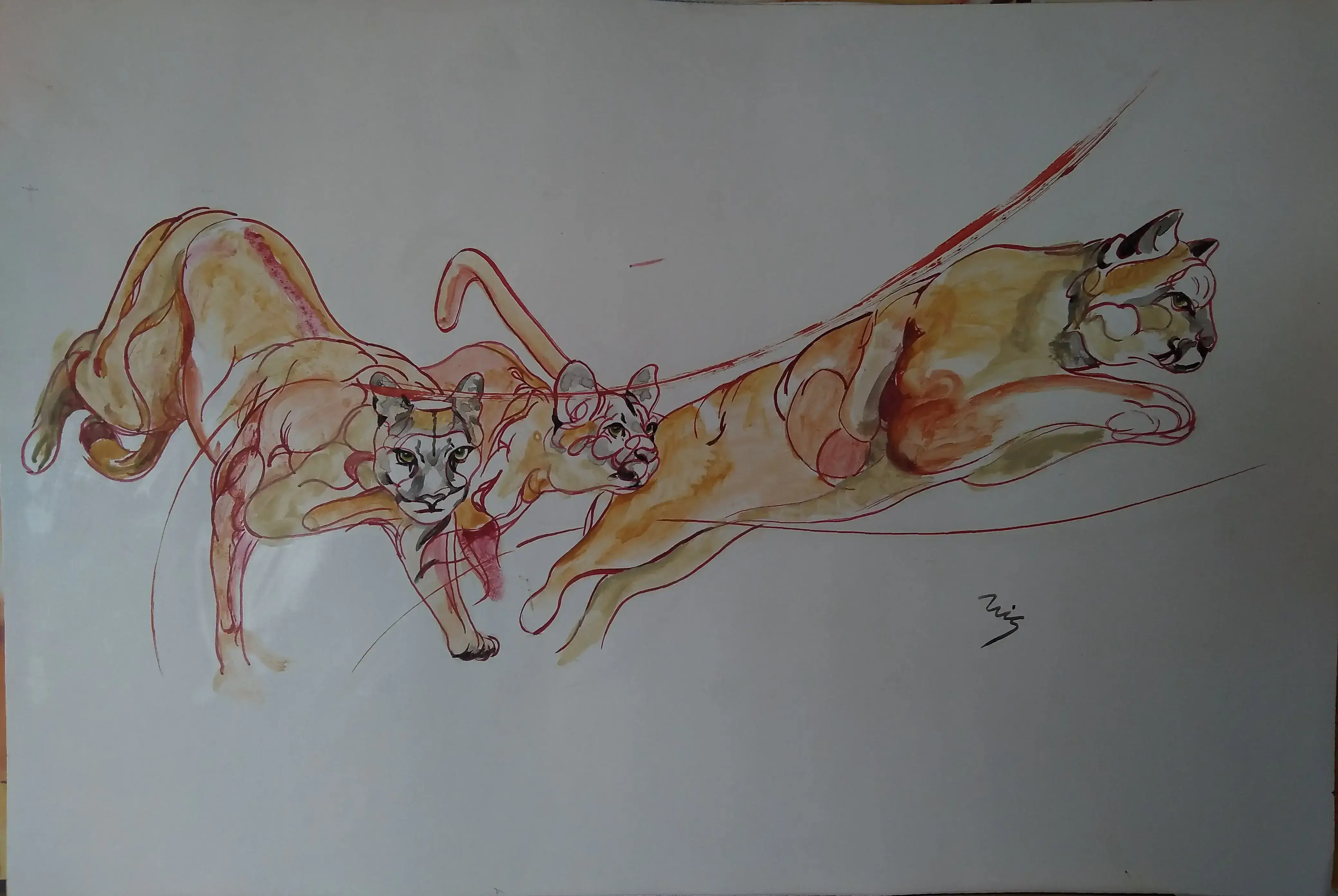 FELINO