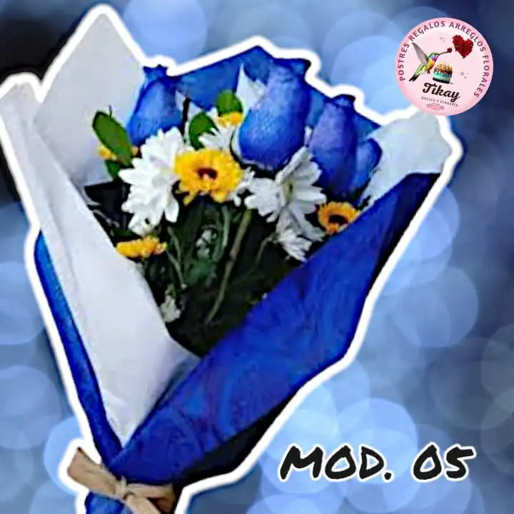 Mod. 05