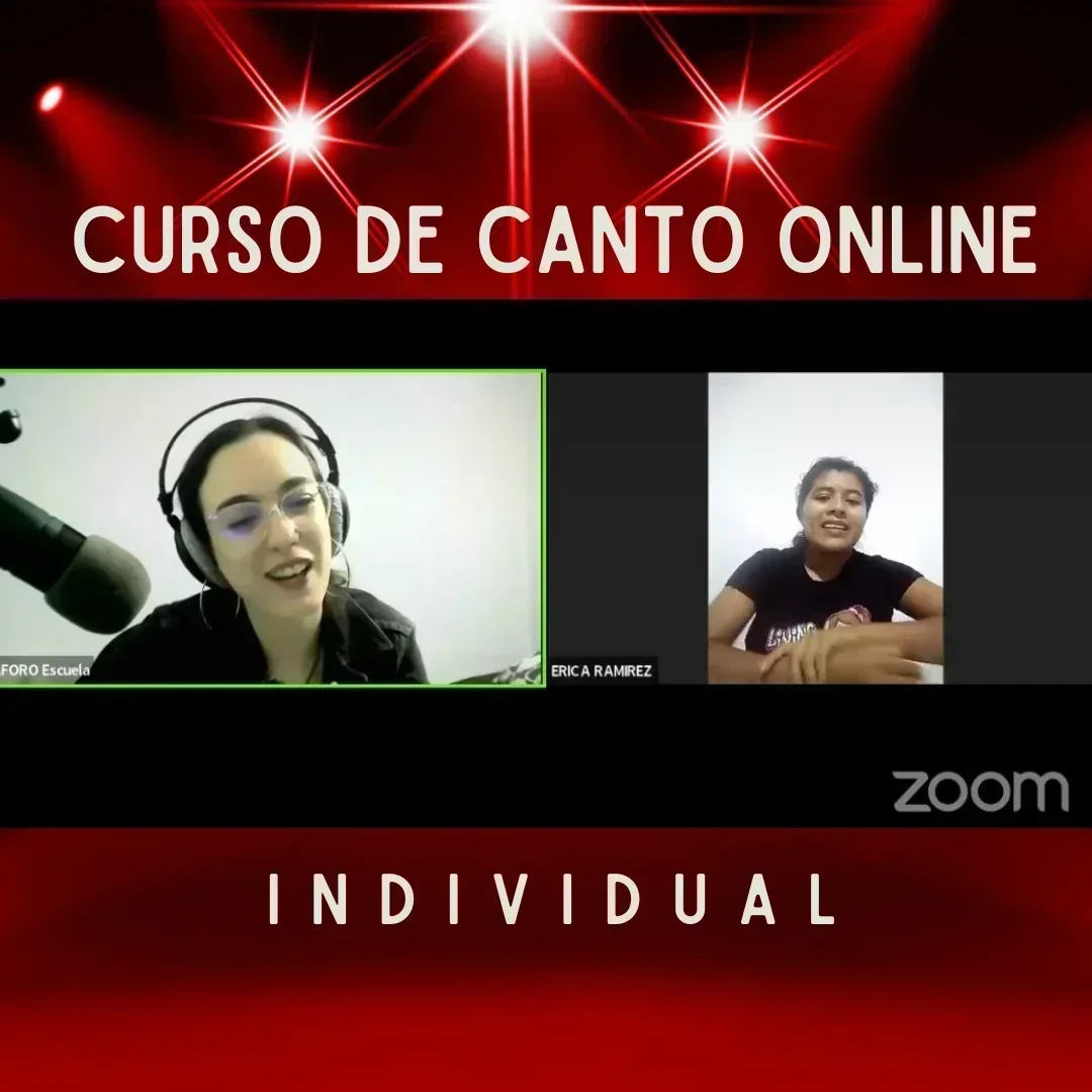 INDIVIDUAL VÍA ZOOM  2