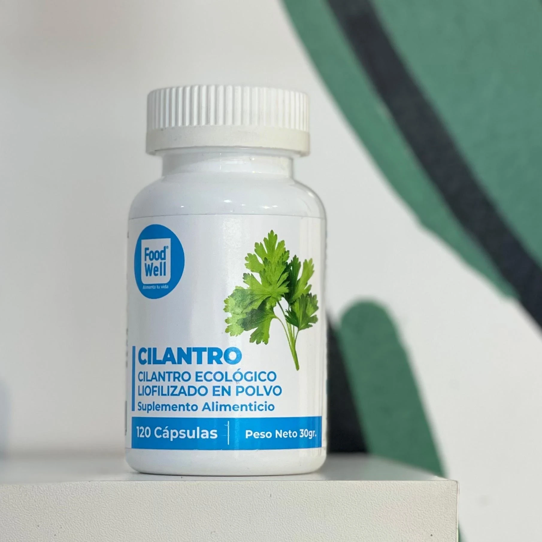 Cilantro en capsulas 