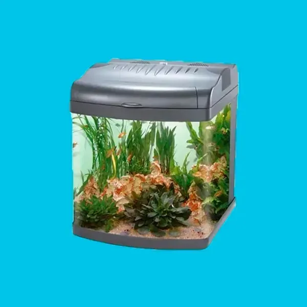 ACUARIO PARIDERA