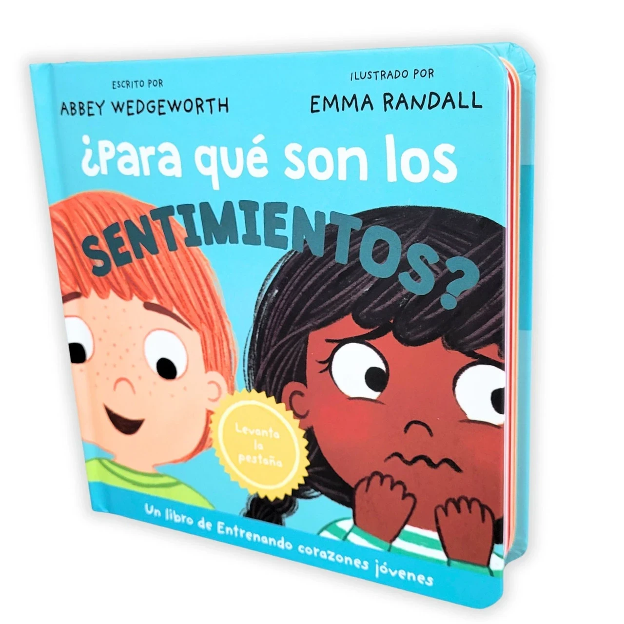 Para que son los sentimientos