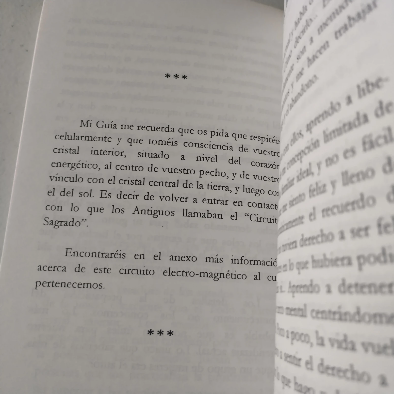 Ojja, Gaal y Gaya, usado 3
