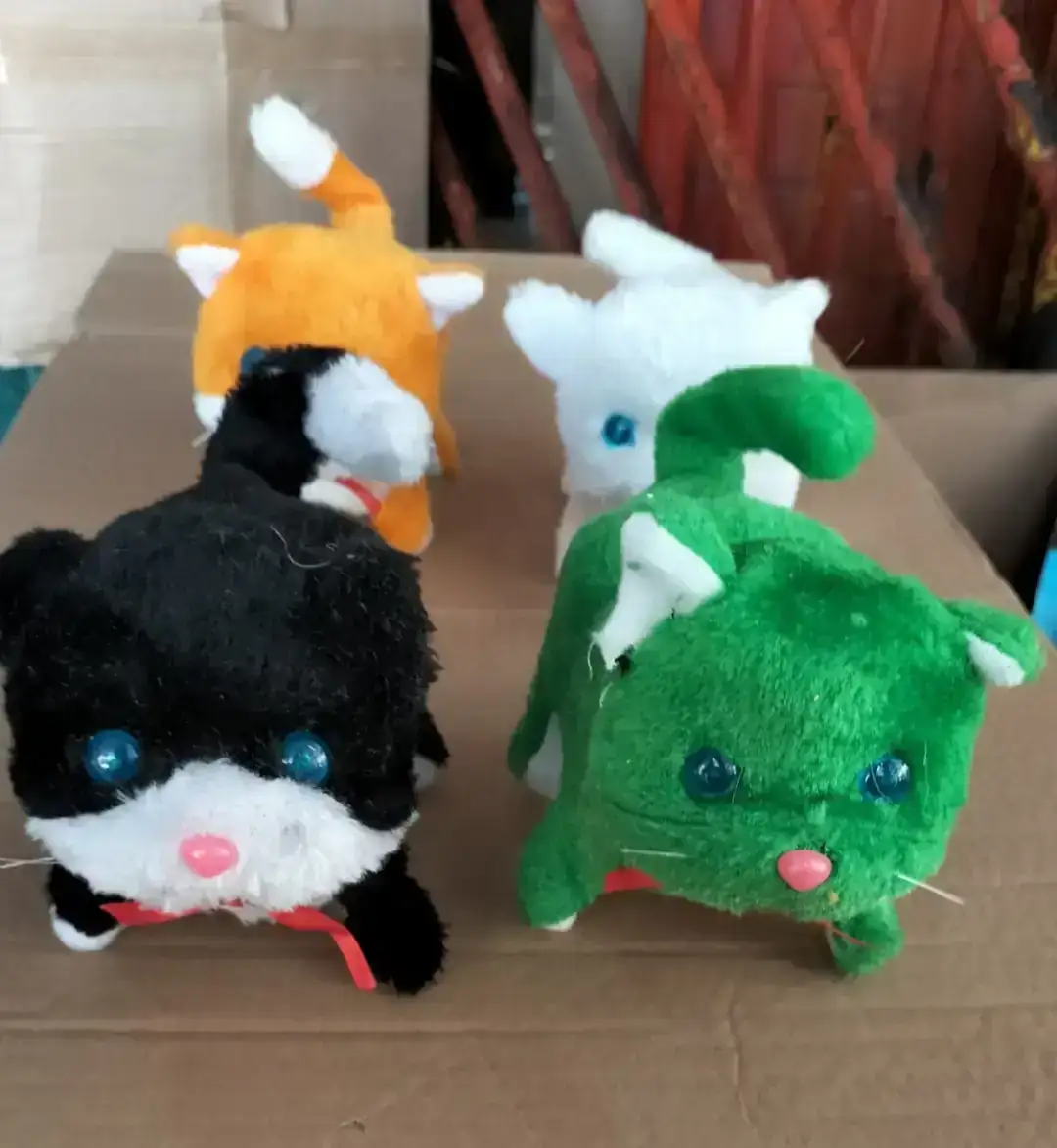 Gatos con movimiento 