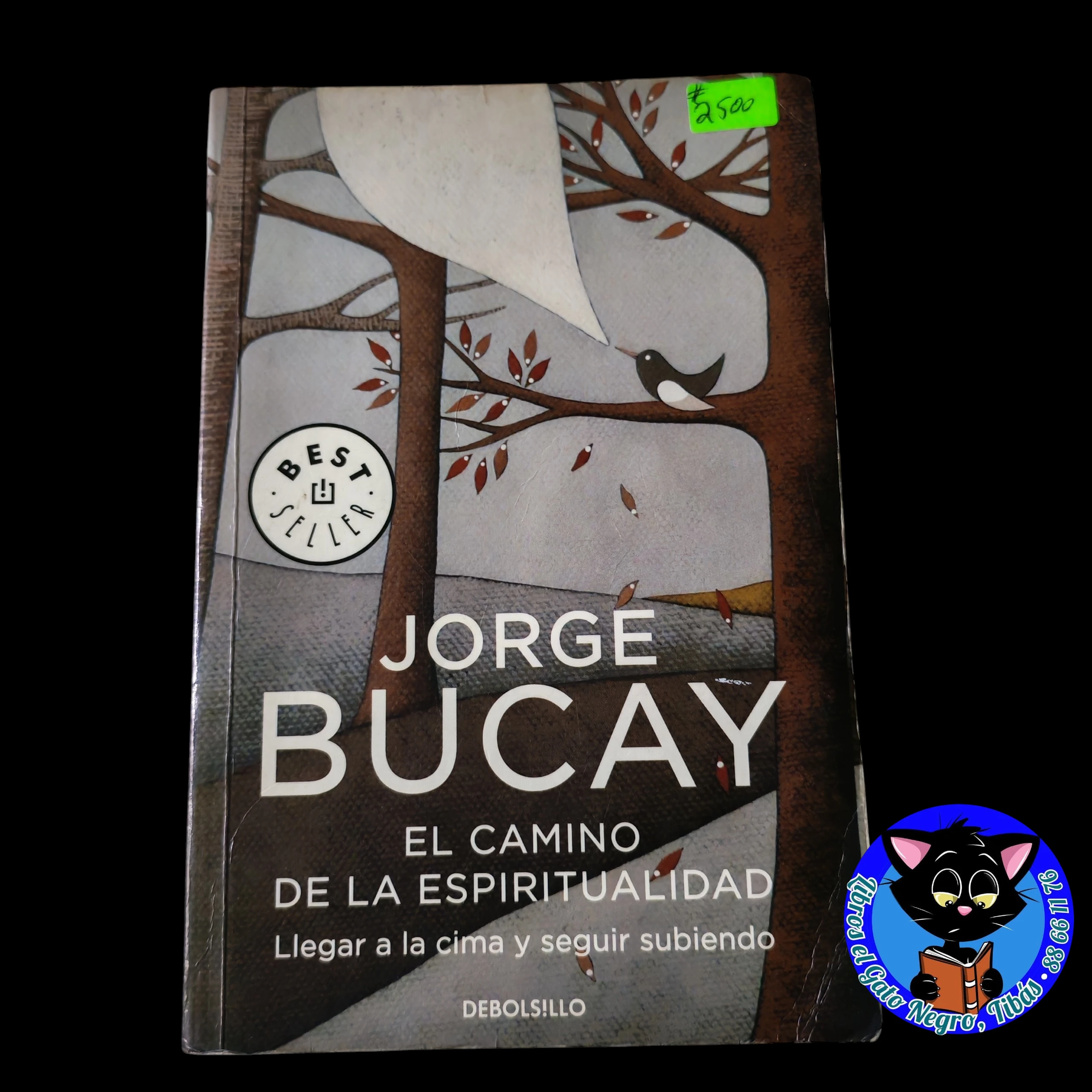 El camino de la espiritualidad Jorge Bucay usado 