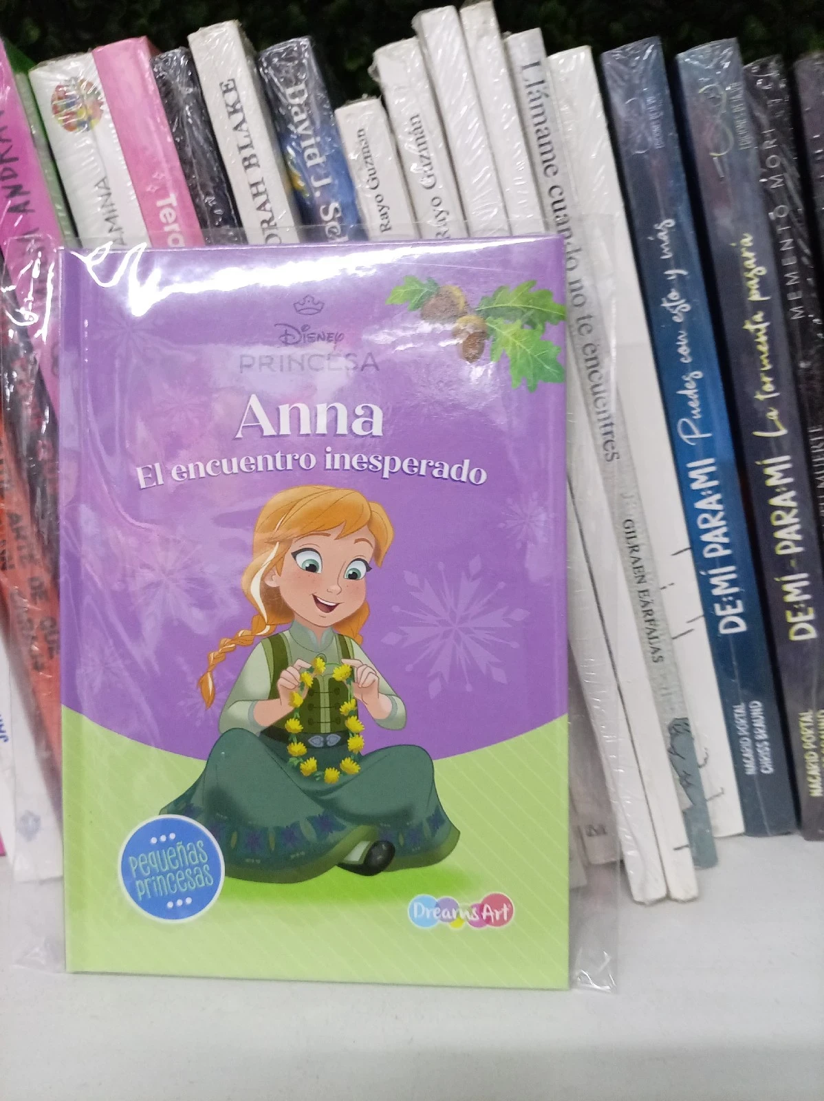 Anna: El encuentro inesperado