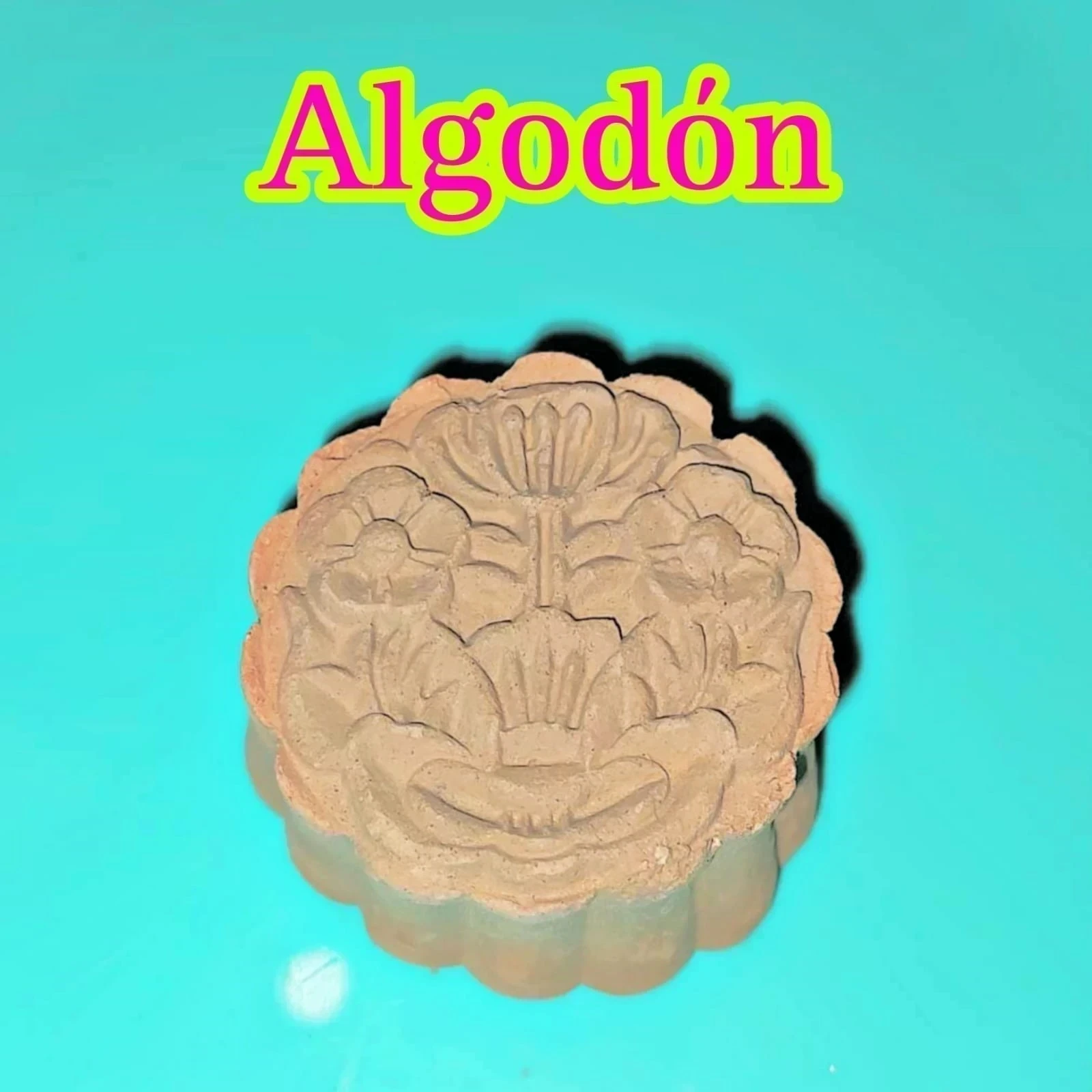 Galleta Algodón