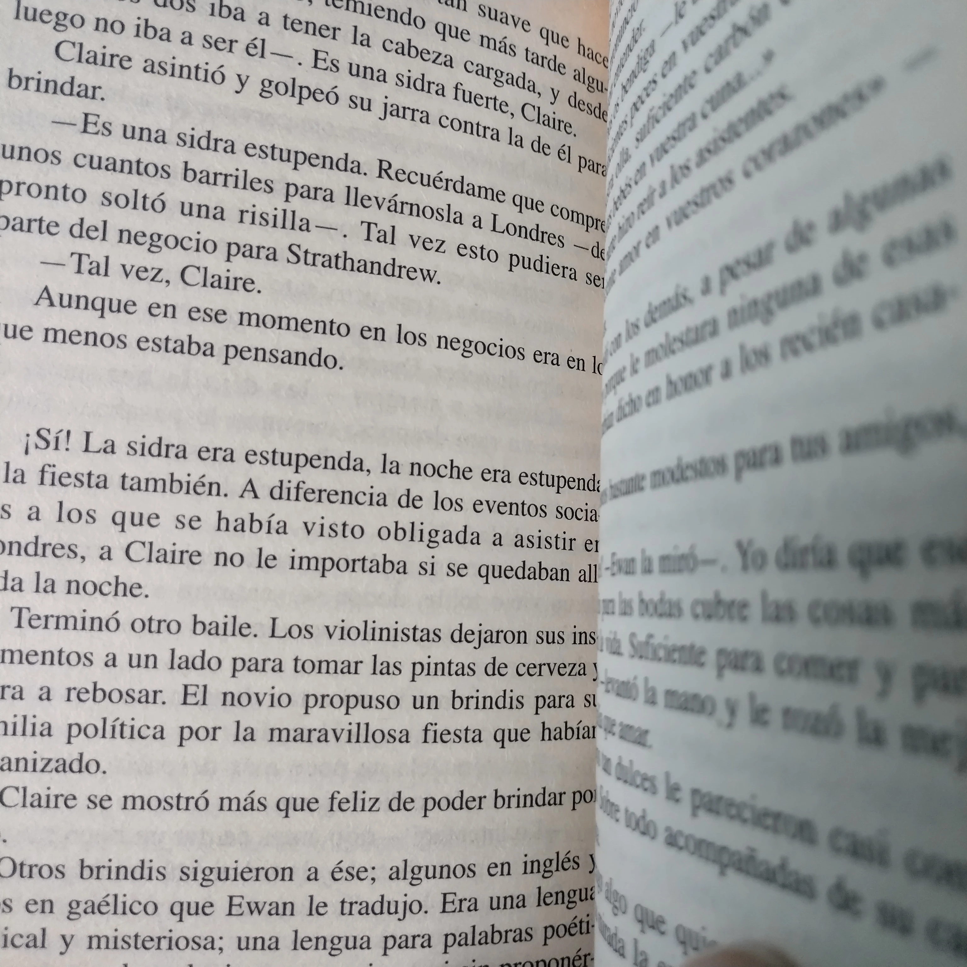La otra hermana , Deborah Hale , usado 3