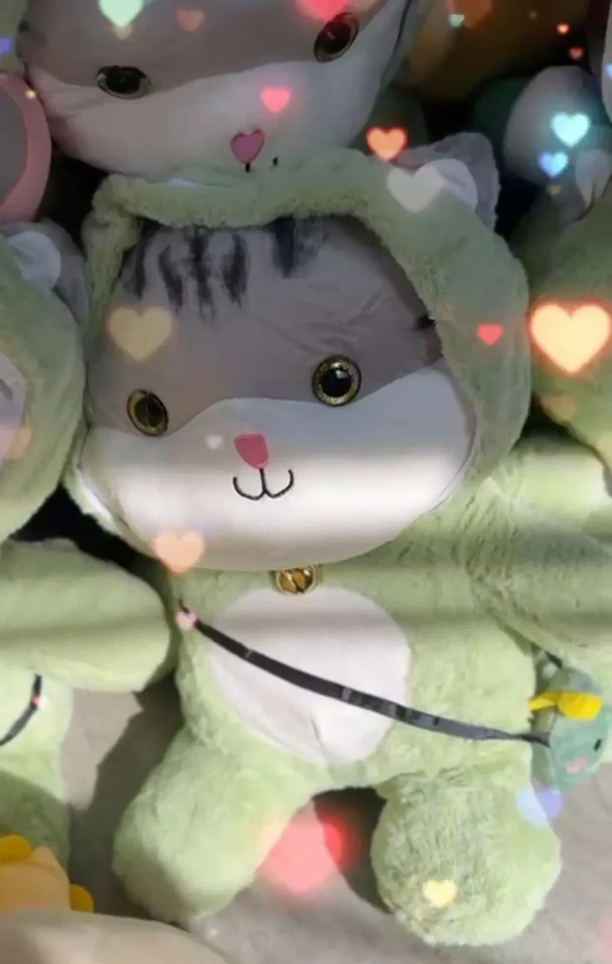 Peluche con Manta  2