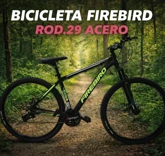 BICICLETA FIREBIRD ACERO