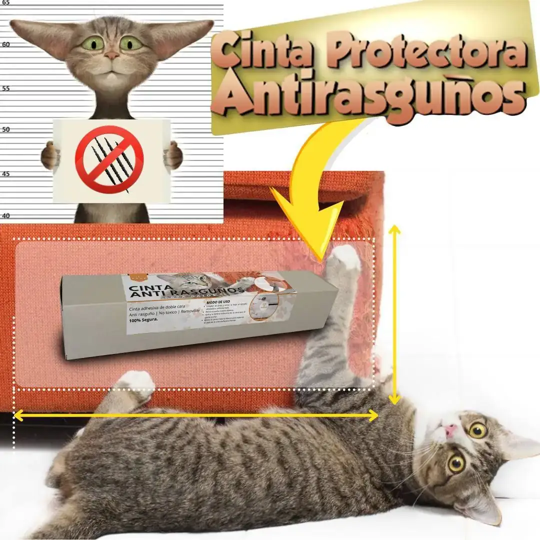 CINTA PROTECTORA ANTIRASGUÑOS 3