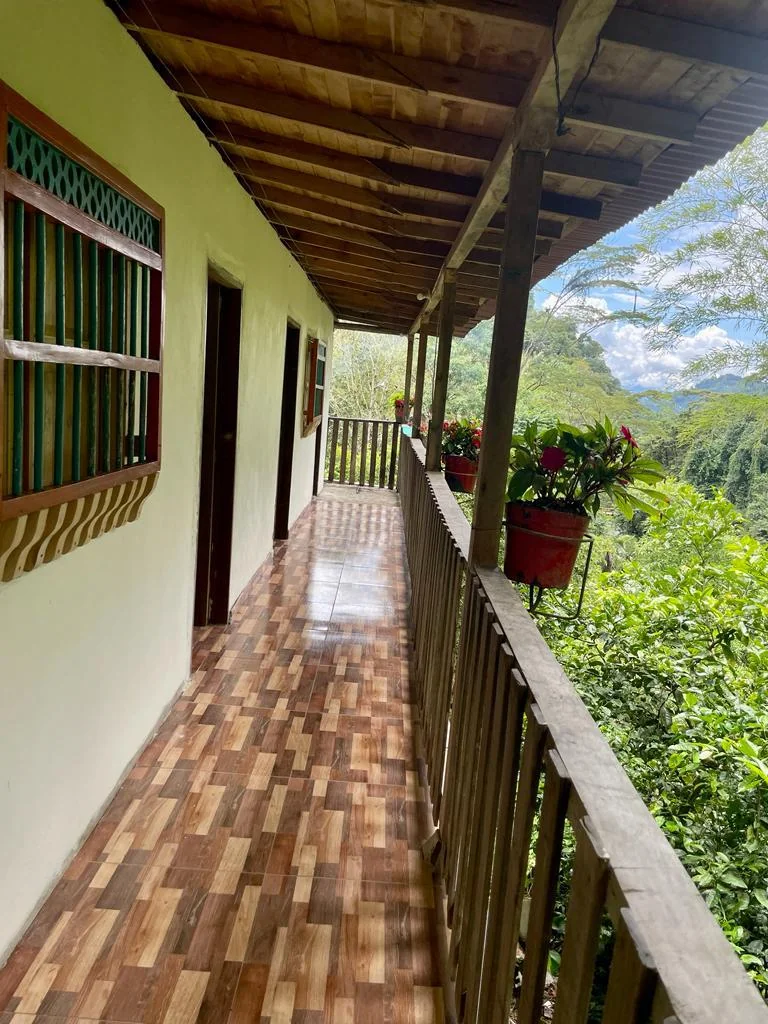 FINCA RURAL LA MILAGROSA 4