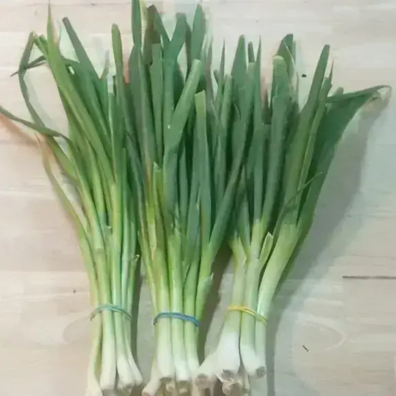Cebollin 