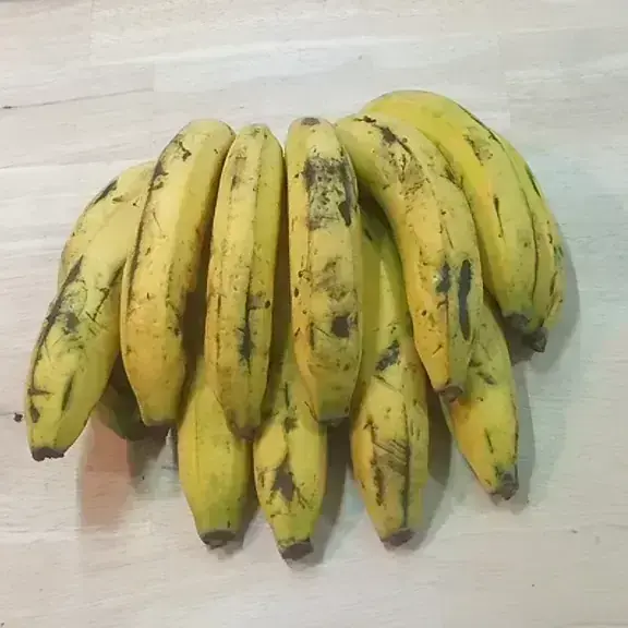 Bananos criollos