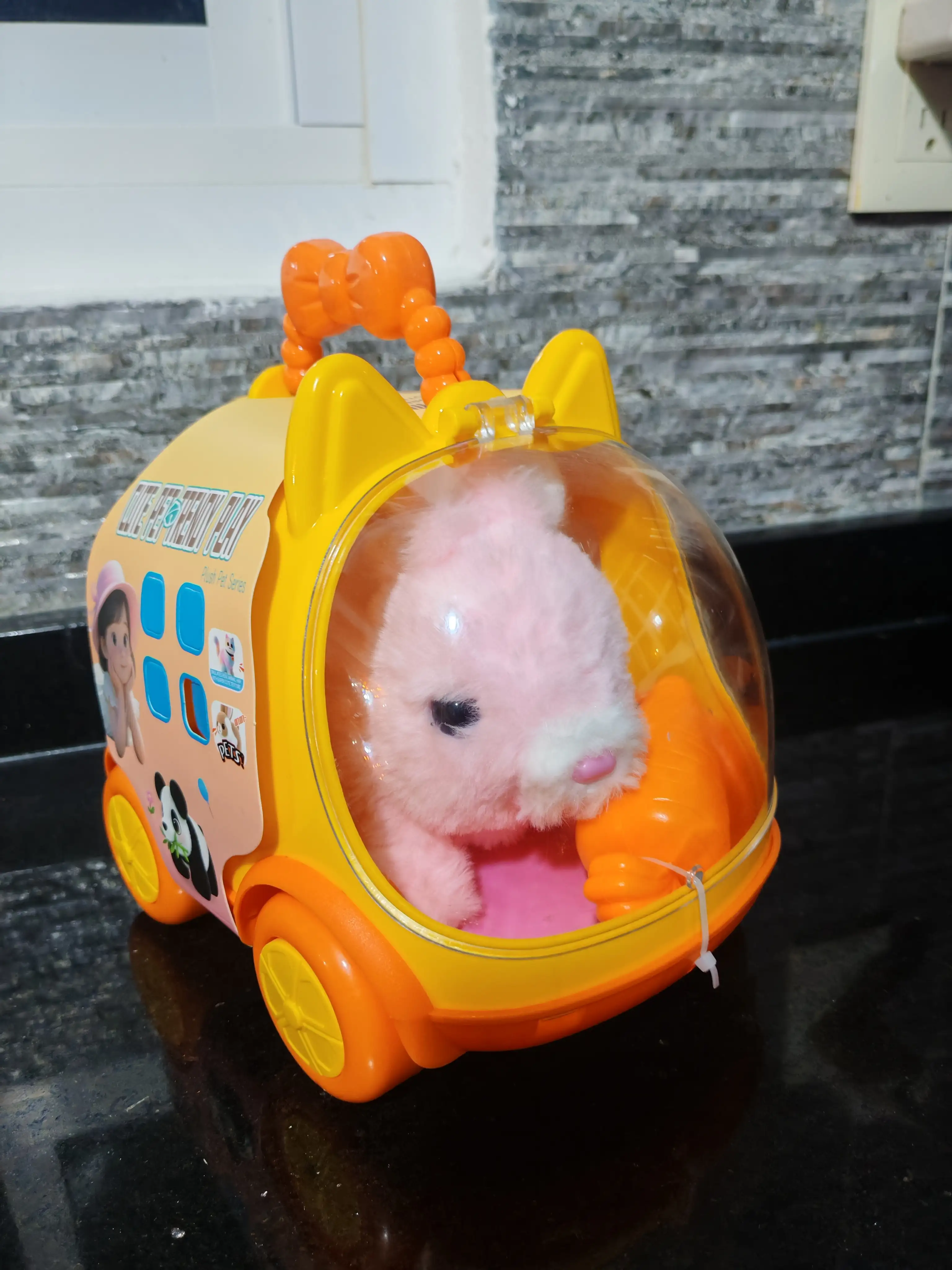 Transportadora Conejo