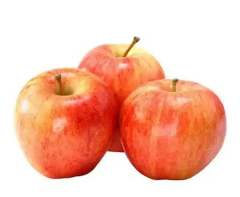 Manzana gala 