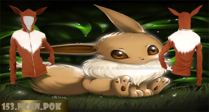 153.NCAN.POK(EEVEE