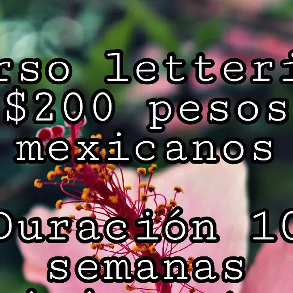 Cursos online