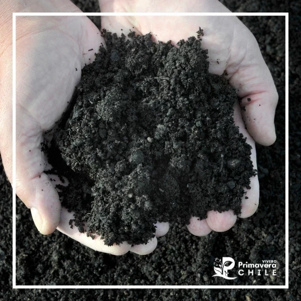 Compost - Tierra (Sustrato para Maceta) 6 lts.