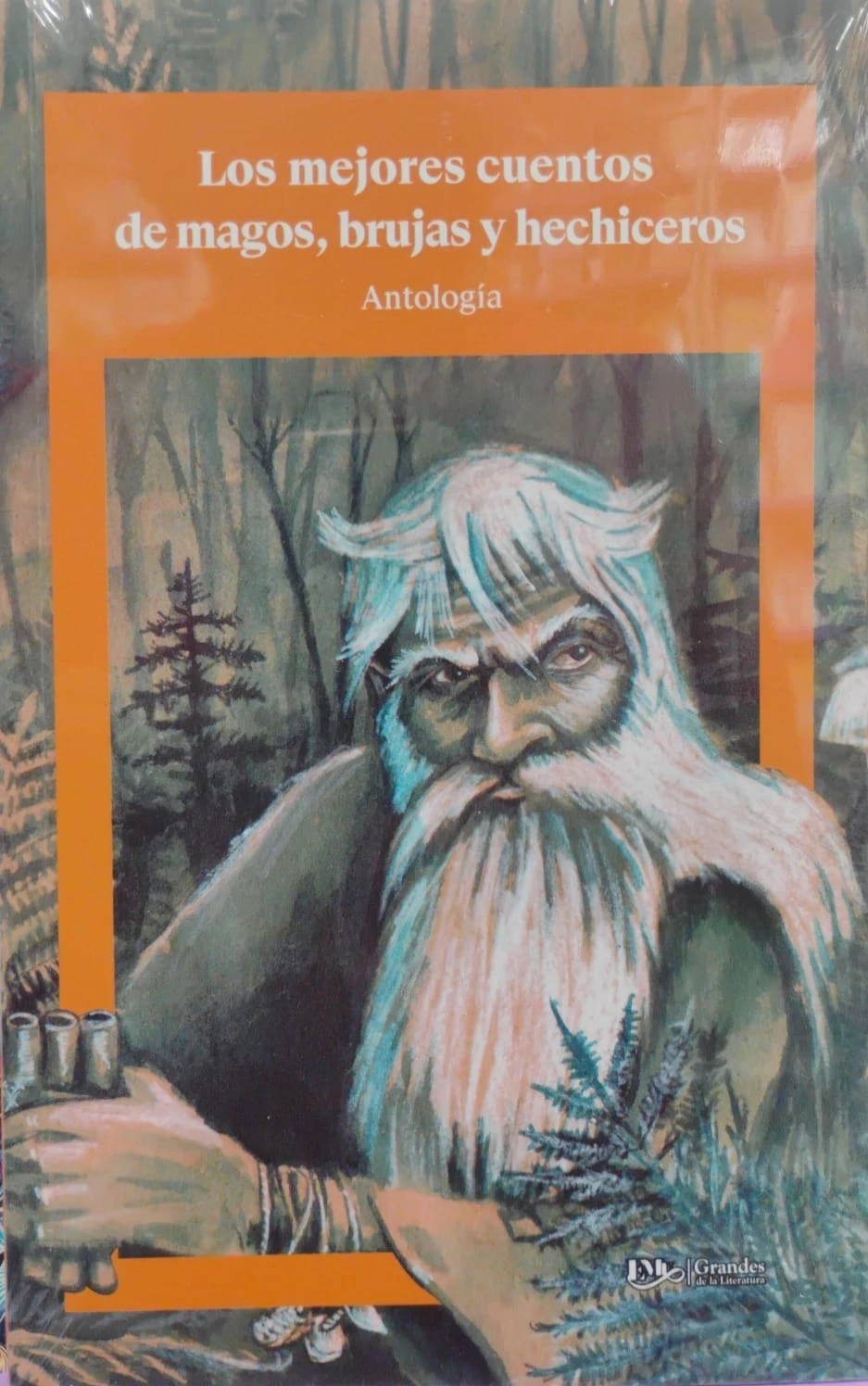 LOS MEJORES CUENTOS DE MAGOS BRUJAS Y HECHICEROS