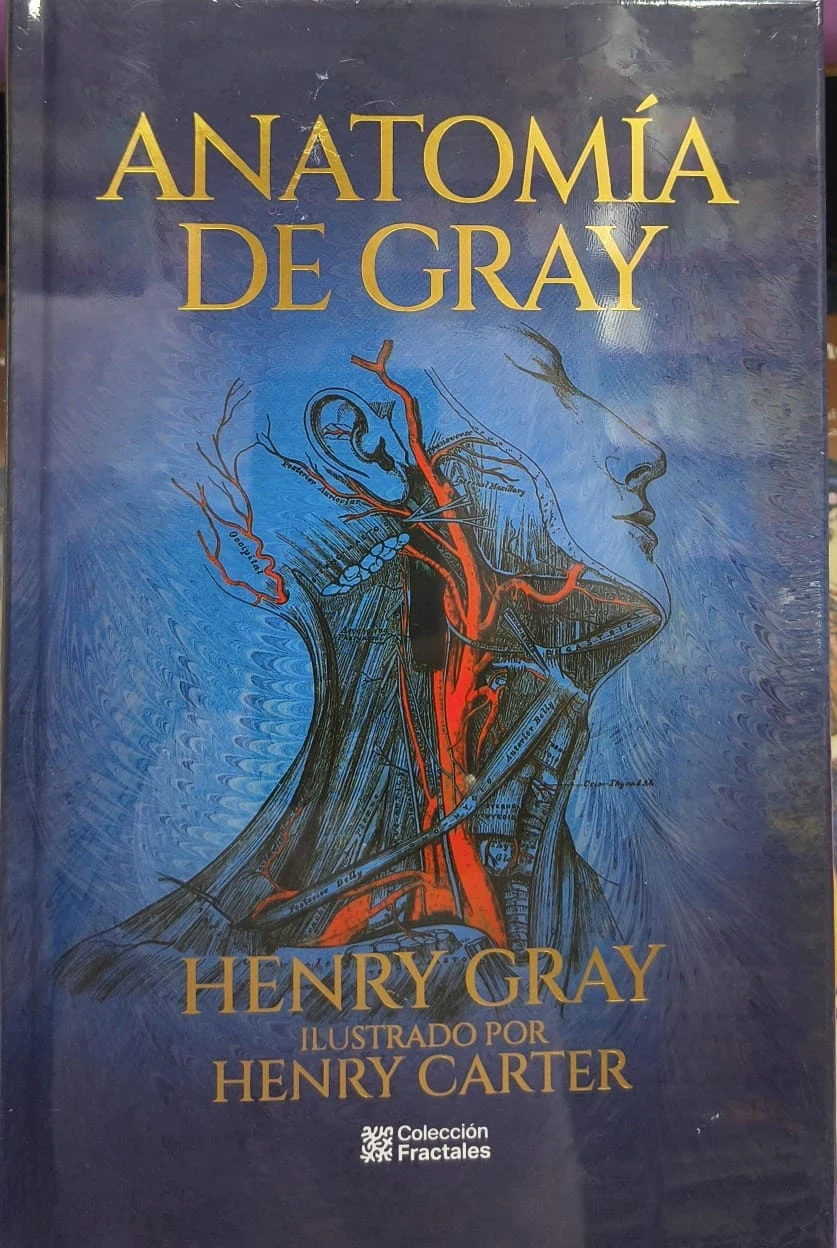 PD ANATOMIA DE GRAY