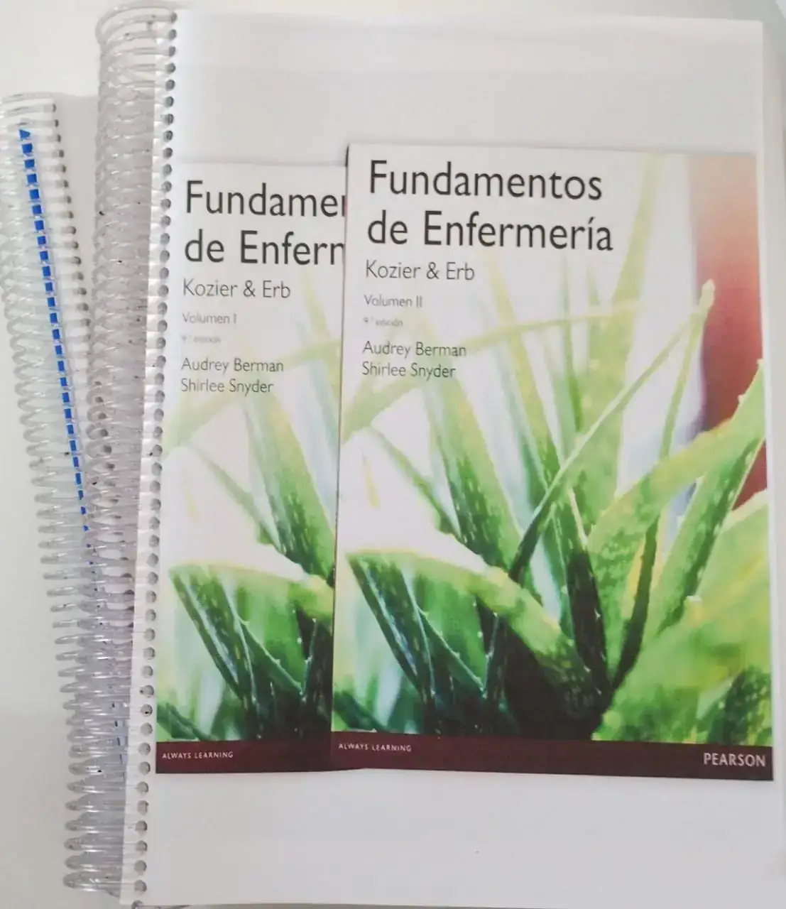 Fundamento en Enfermería 