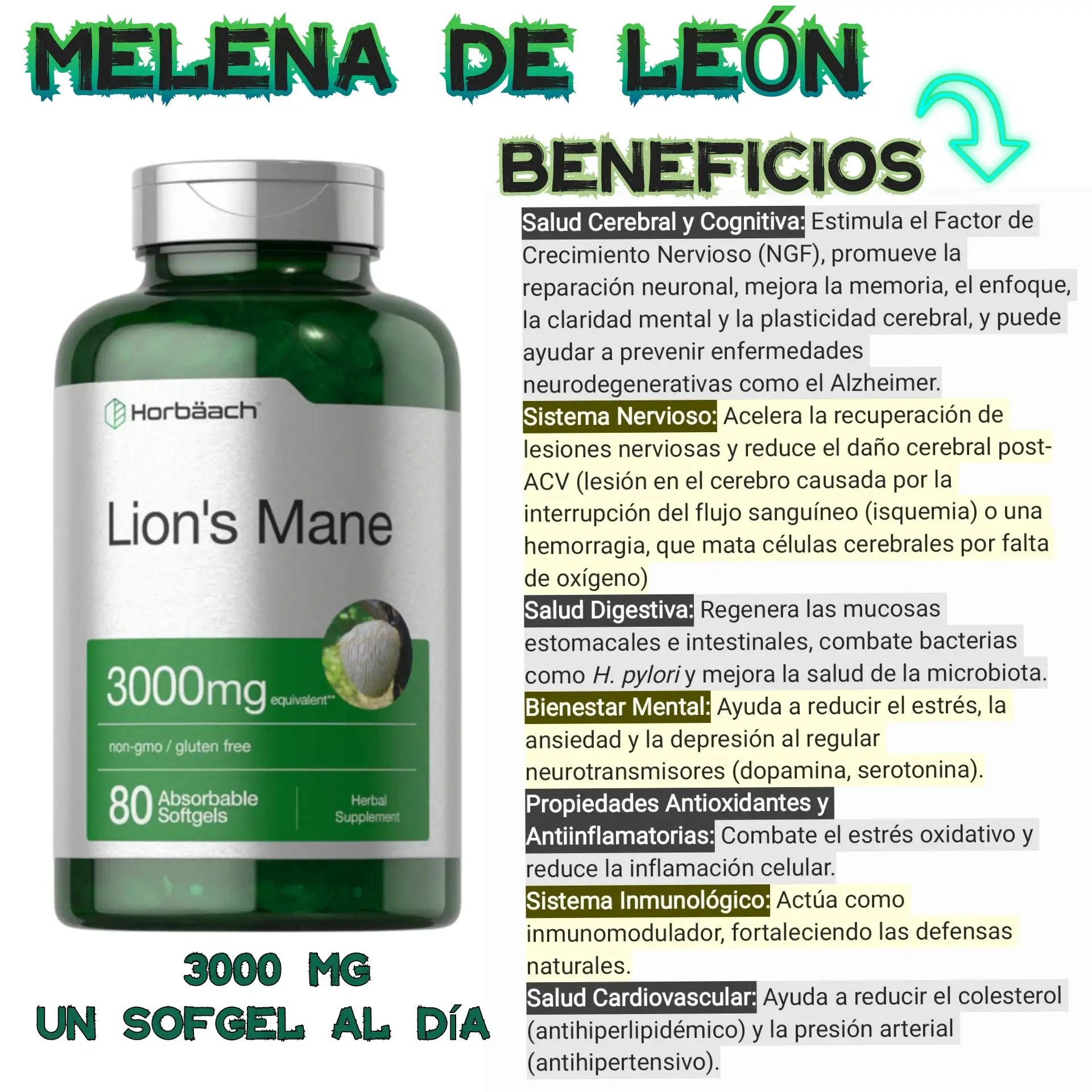 Melena de leon  3