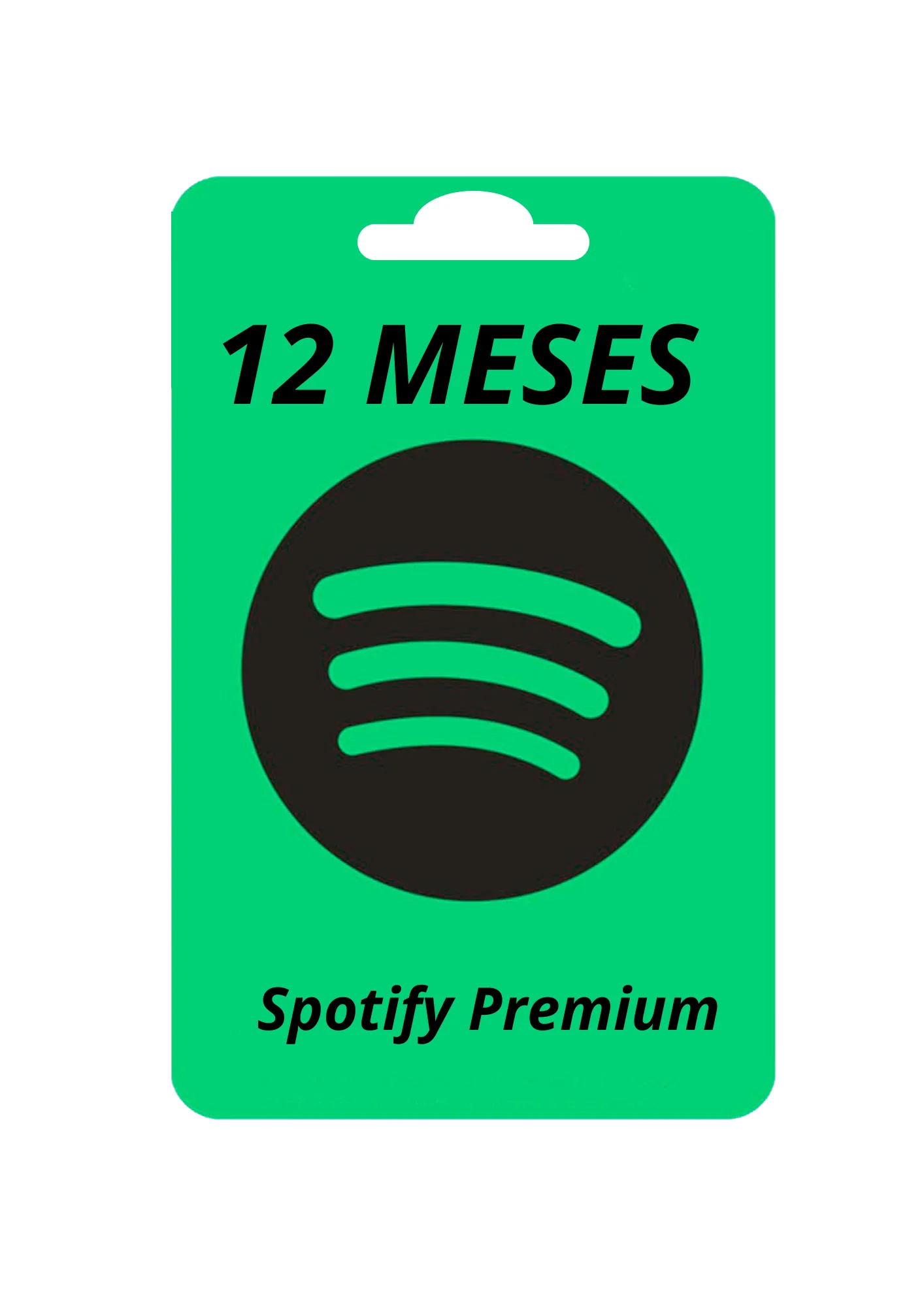 Spotify 12 meses 