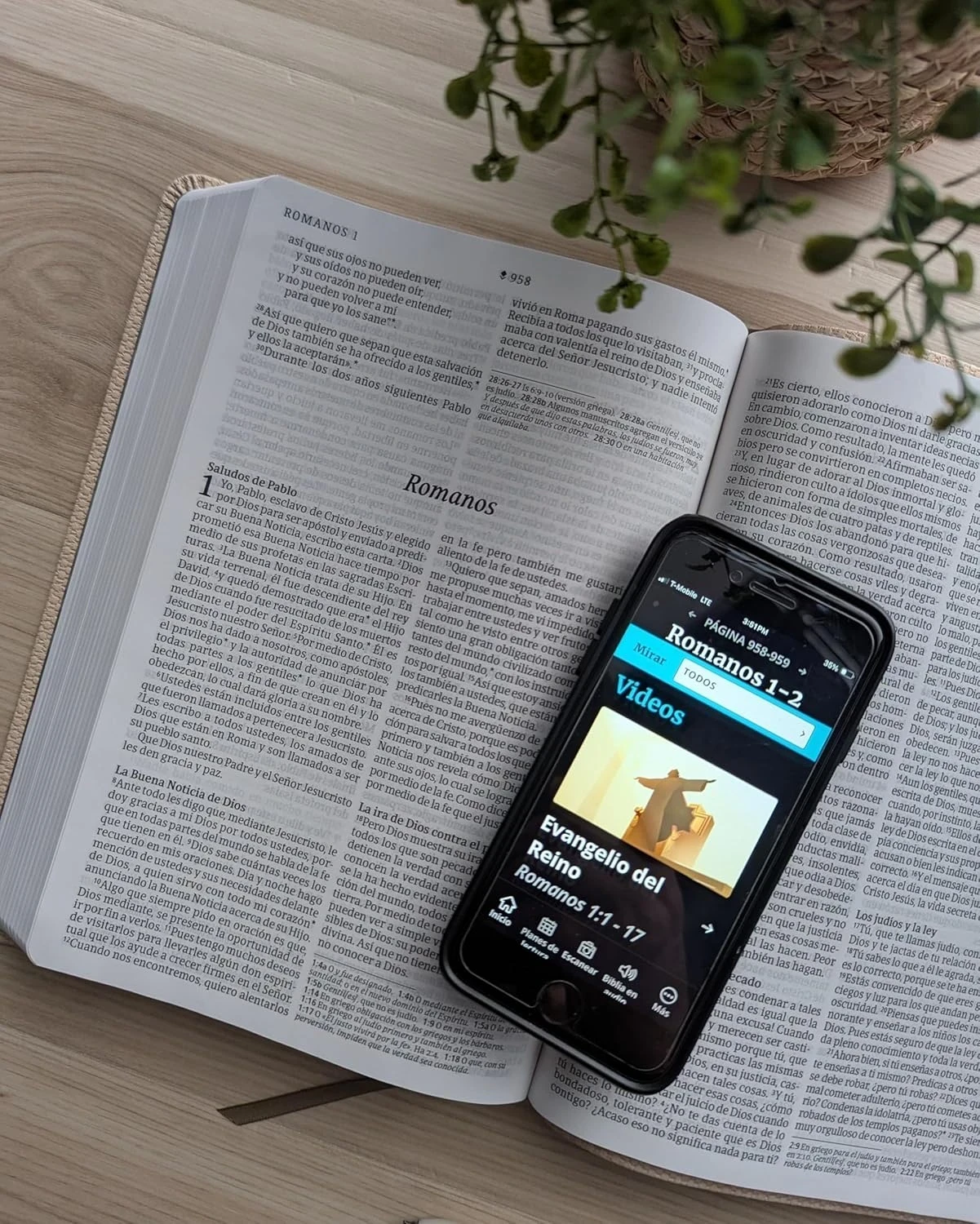 Biblia valor premium NTV letra grande sentipiel café claro 3