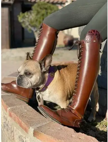 BOTAS🏇 3