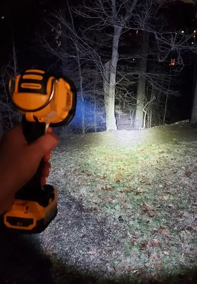 Dewalt 20V MaxLED 4