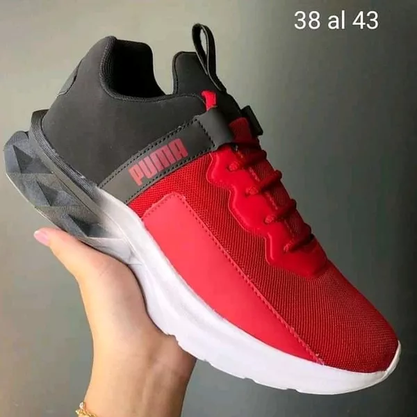 Puma 3