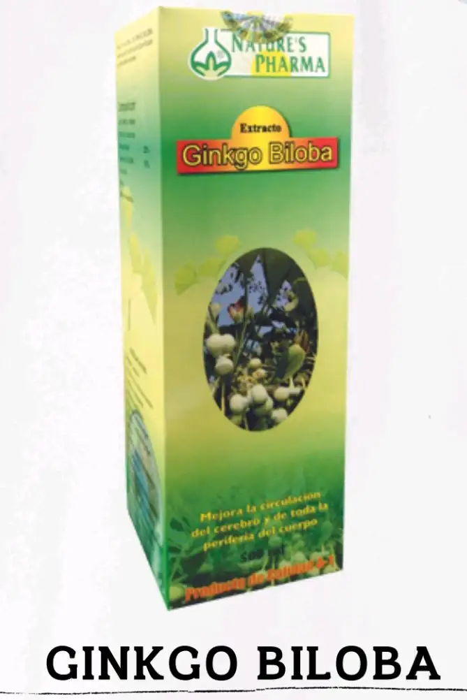 Ginkgo biloba 