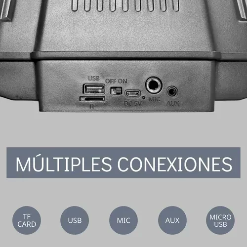 PARLANTE DELHI RS-8 1000W 6