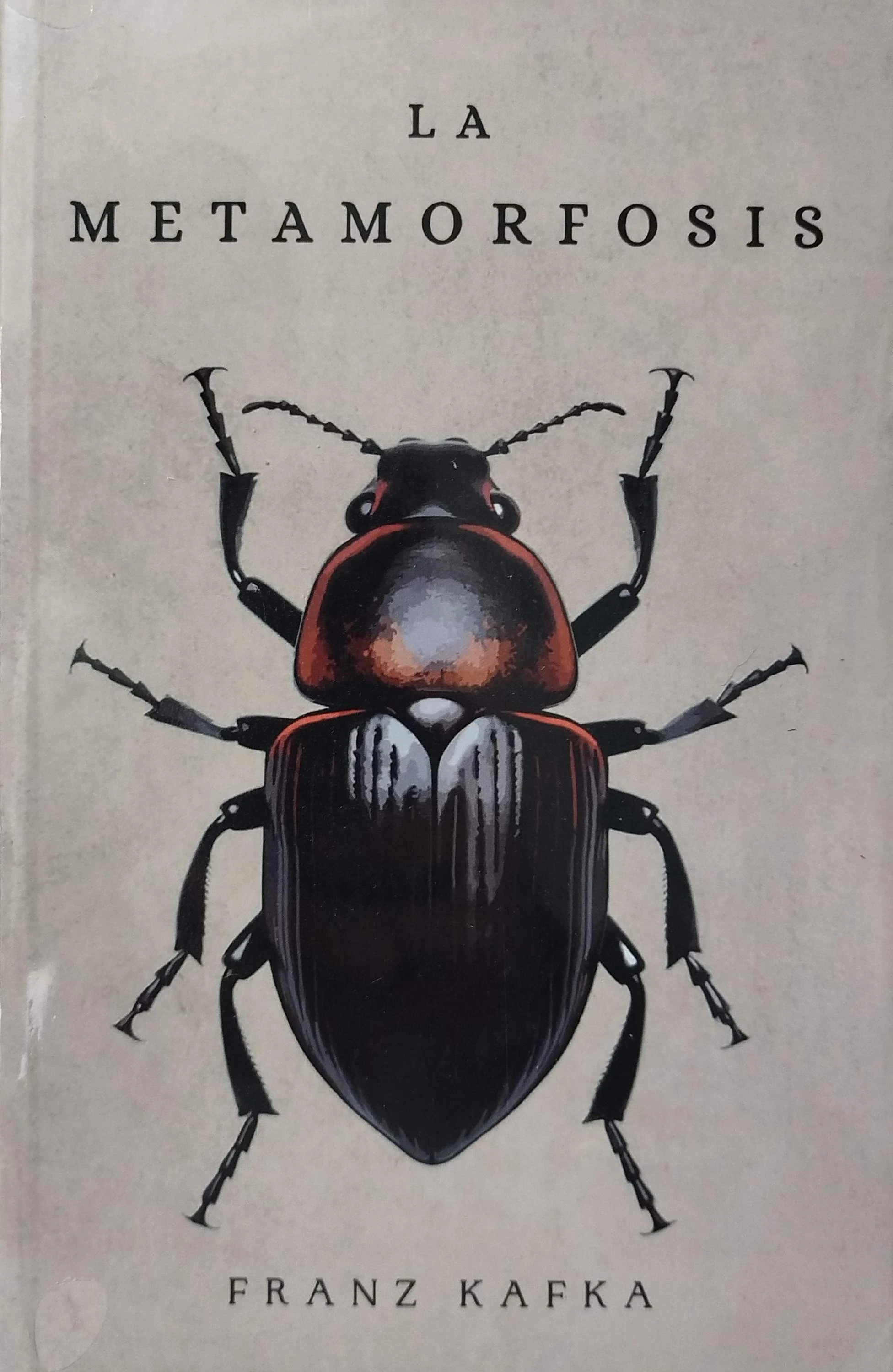 LA METAMORFOSIS (GRIS)