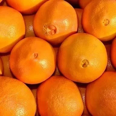 2kg NARANJA DE OMBLIGO