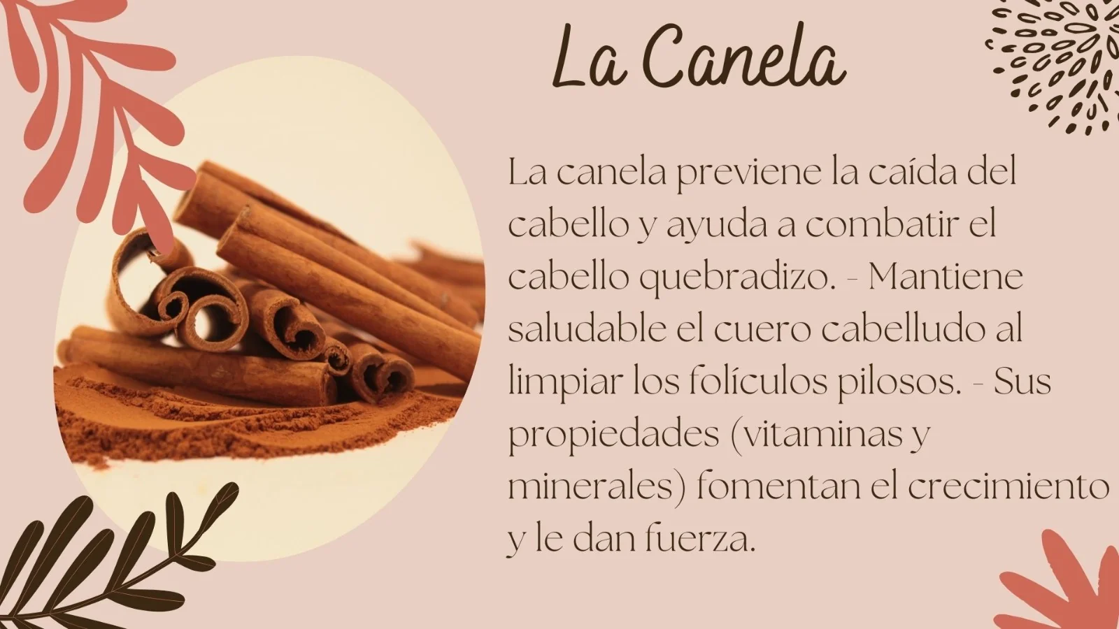 Tónico Capilar 3